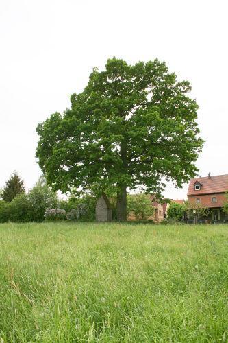 Ferienwohnung Kaim Prichsenstadt Oda fotoğraf