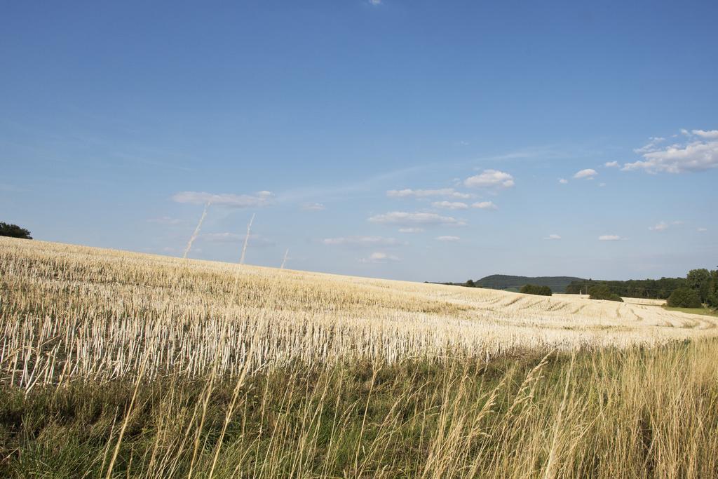Ferienwohnung Kaim Prichsenstadt Oda fotoğraf
