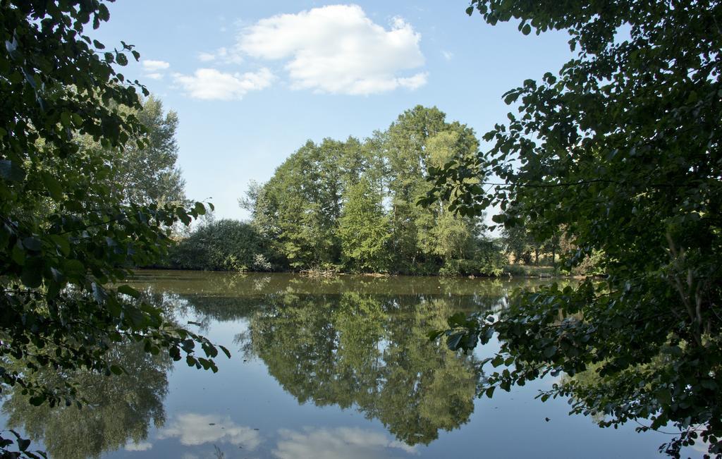Ferienwohnung Kaim Prichsenstadt Oda fotoğraf